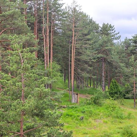 Zlatibor Holiday, Vila Leonardo VI Eksteriør billede