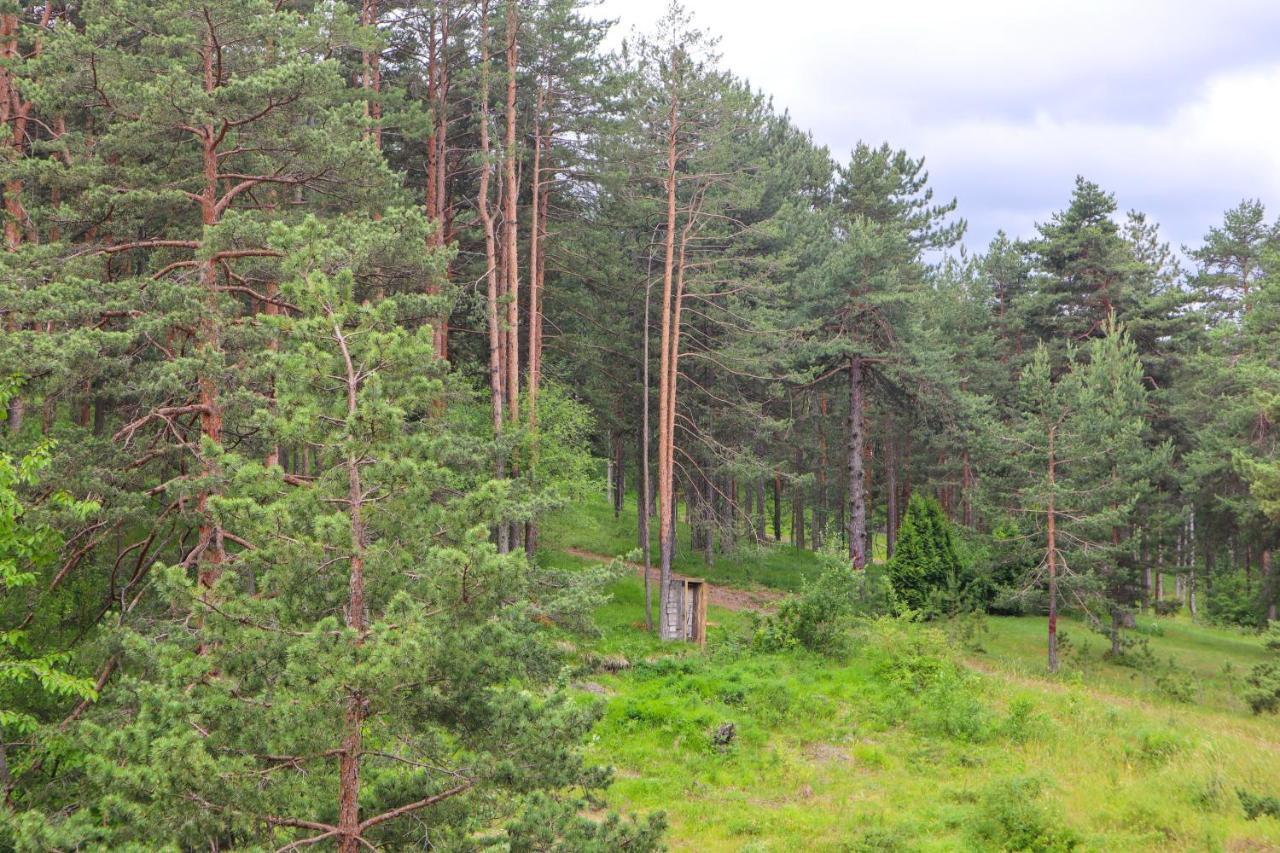 Zlatibor Holiday, Vila Leonardo VI Eksteriør billede