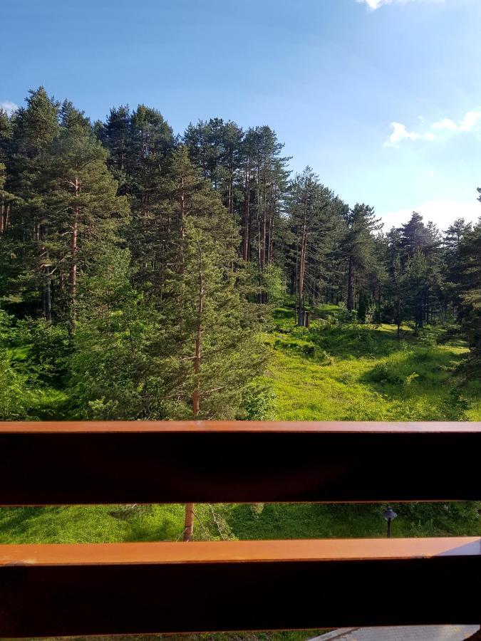 Zlatibor Holiday, Vila Leonardo VI Eksteriør billede